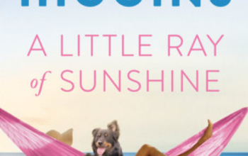 A Little Ray of Sunshine by Kristan Higgins cover. A woman is lying in a pink tie-dyed hammock on the beach, only her legs and her sunhat is seen above the sides while a brown dog peeks over.
